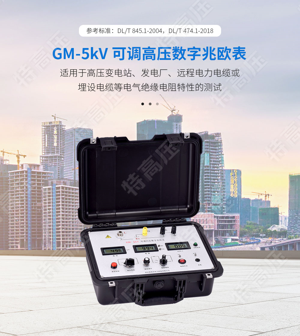 GM-5kV 可調高壓數(shù)字兆歐表(圖1)