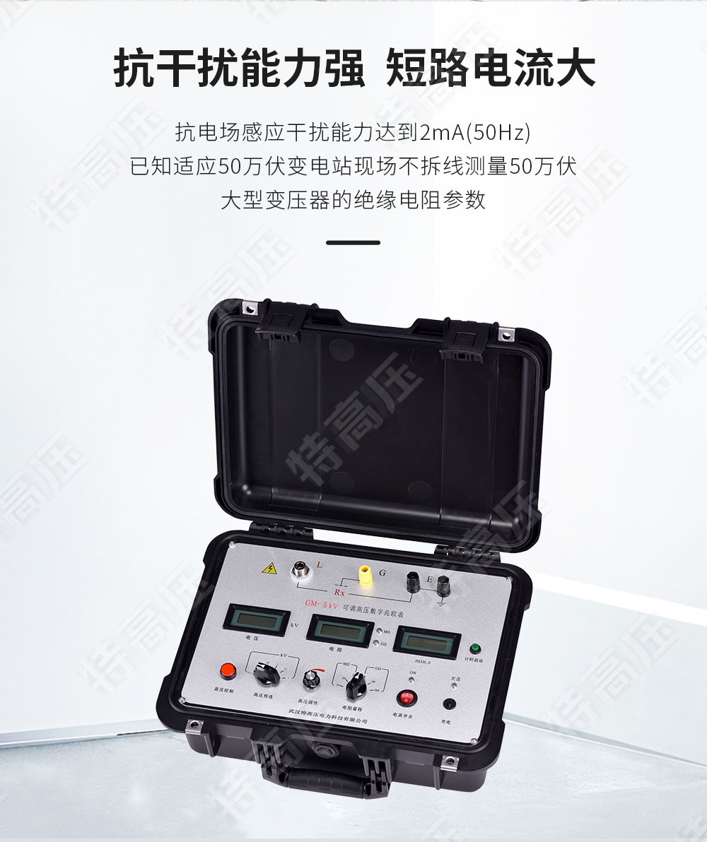 GM-5kV 可調高壓數(shù)字兆歐表(圖2)