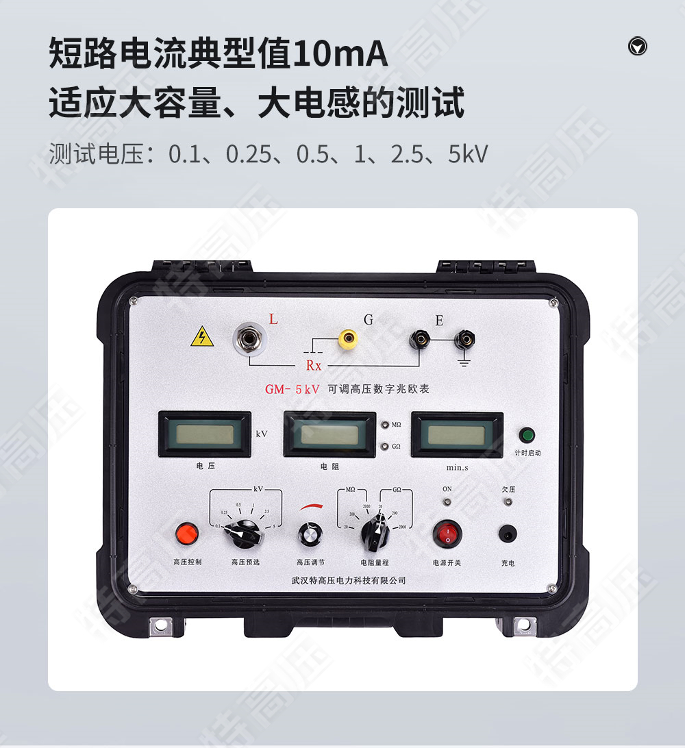 GM-5kV 可調高壓數(shù)字兆歐表(圖3)